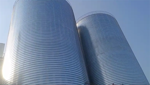 市中2座混凝土高架卷板仓